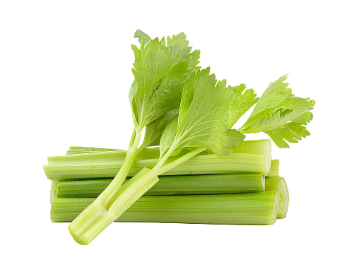 鮮活芹菜
